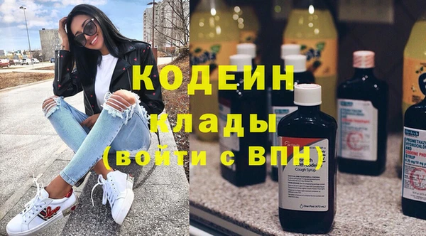 дмт Нягань