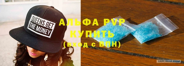 индика Нязепетровск