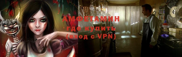индика Нязепетровск