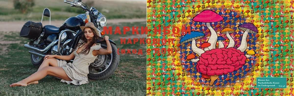марки lsd Новокубанск