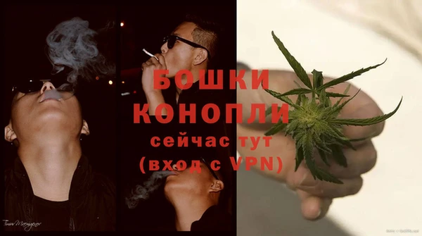 индика Нязепетровск
