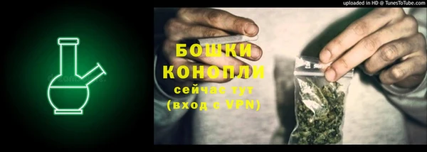 спиды Новозыбков