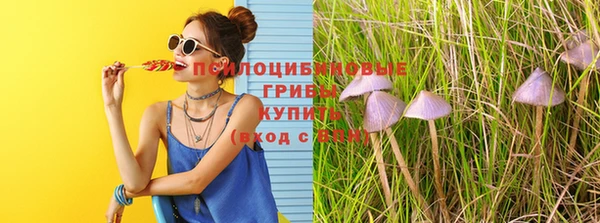 марки lsd Новокубанск