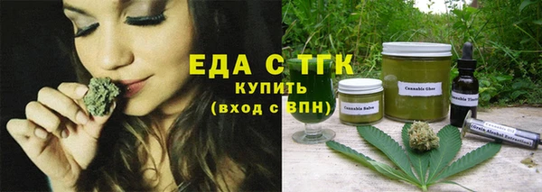 индика Нязепетровск